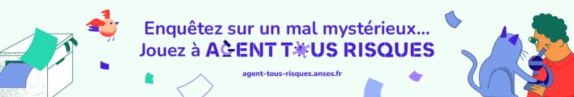 Anses banner