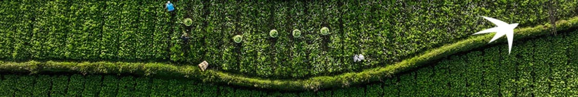 BNP PARIBAS ASSET MANAGEMENT EUROPE banner