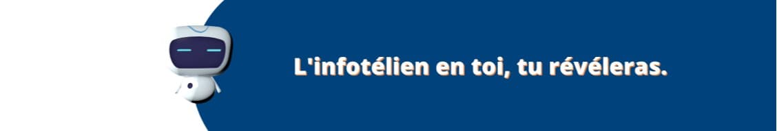 INFOTEL CONSEIL banner