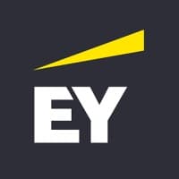 EY SERVICES FRANCE logo