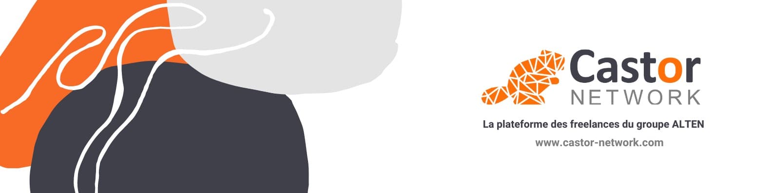 CASTOR NETWORK banner