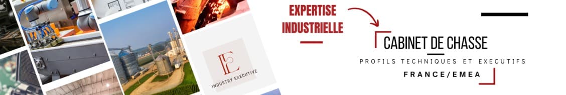 INDUSTRY EXECUTIVE banner