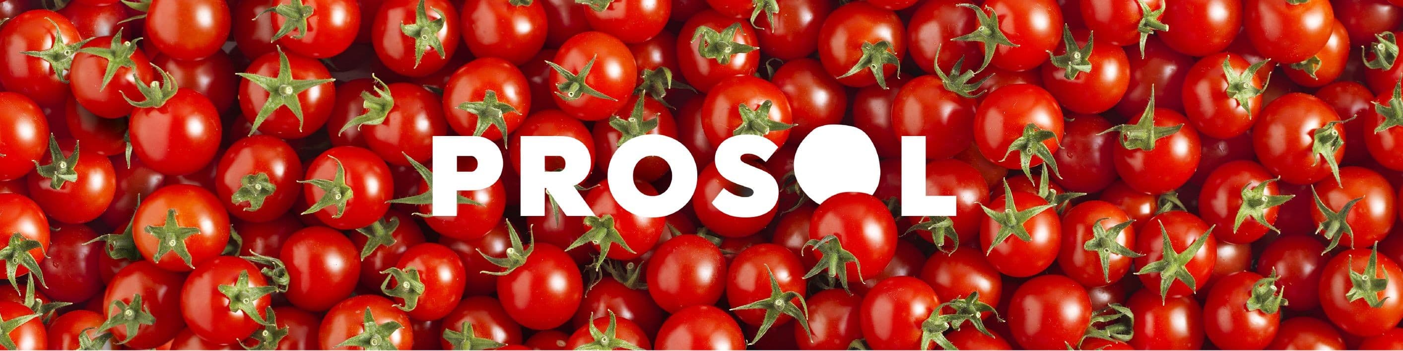 PROSOL banner