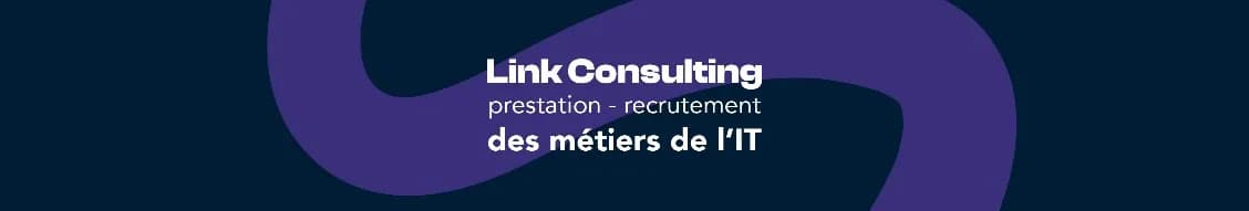 LINK CONSULTING banner