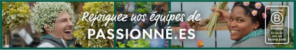 ETS HORTICOLES GEORGES TRUFFAUT banner