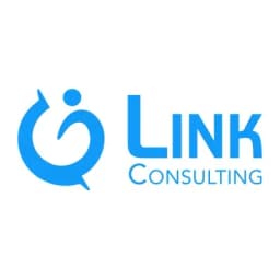LINK CONSULTING logo